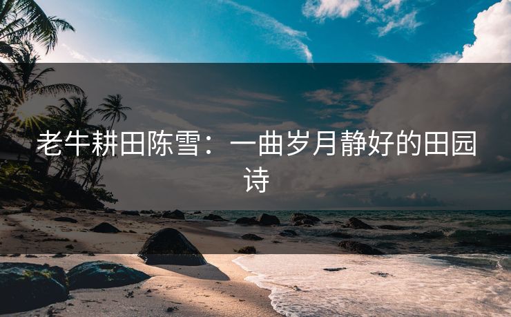 老牛耕田陈雪：一曲岁月静好的田园诗