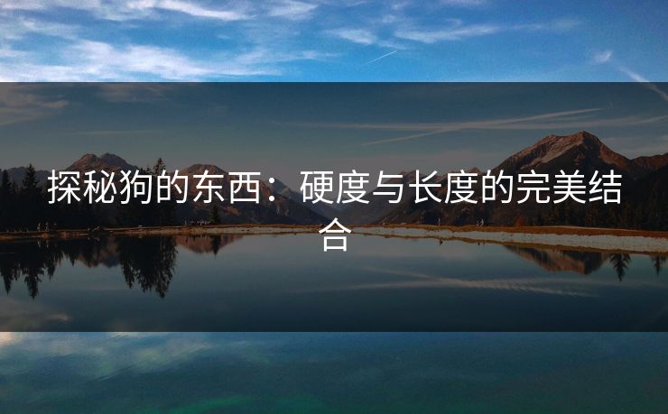 探秘狗的东西：硬度与长度的完美结合