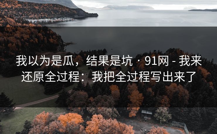 我以为是瓜，结果是坑 · 91网 - 我来还原全过程：我把全过程写出来了