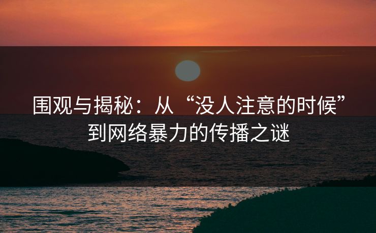 围观与揭秘：从“没人注意的时候”到网络暴力的传播之谜